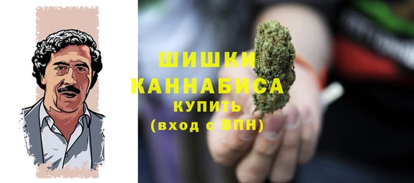 крисы Абаза
