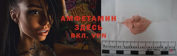 крисы Абаза