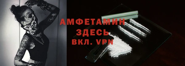 крисы Абаза
