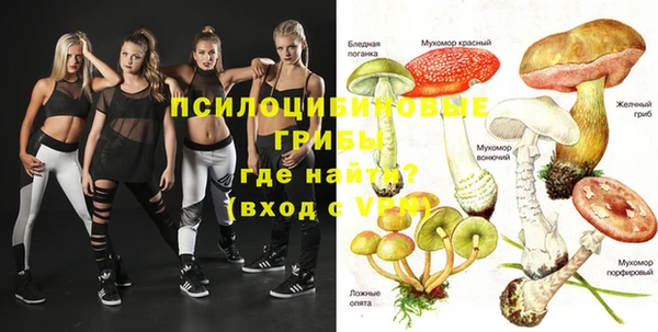 бошки Алзамай