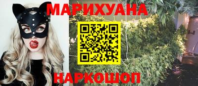 стафф Можга