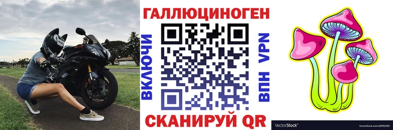 хочу наркоту  Гусь-Хрустальный  площадка телеграм  Галлюциногенные грибы мухоморы  kraken зеркало 