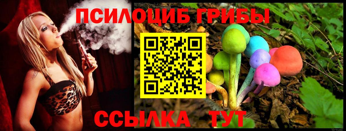 Гусь-Хрустальный  Псилоцибиновые грибы Magic Shrooms  Вход с VPN 